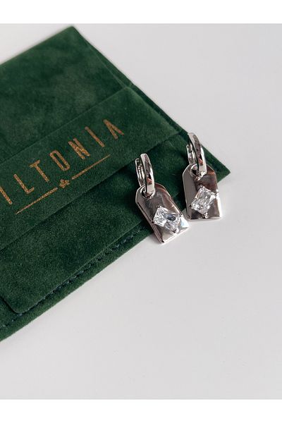 Miltonia Zircon Stone Plate Steel Earrings