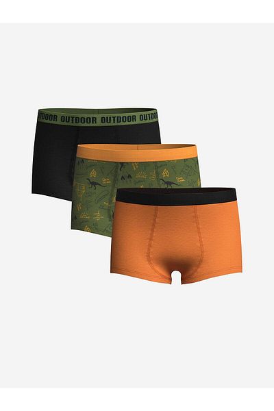 LC Waikiki LCW Kids Printed Boys Boxers 3 τεμαχίων