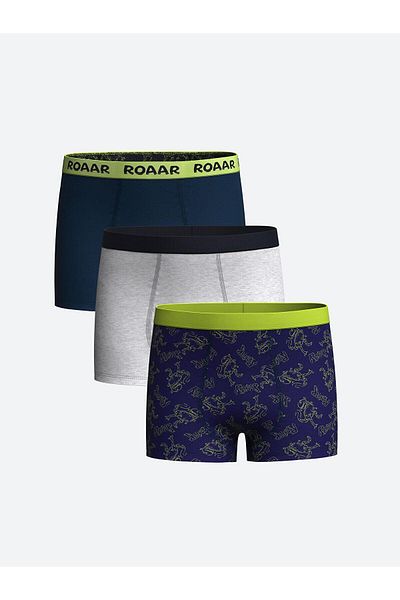 LC Waikiki Boxeri pentru băieți cu imprimeu LCW Kids, 3 buc