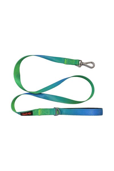 Tailpetz Amazon m Dog Collar