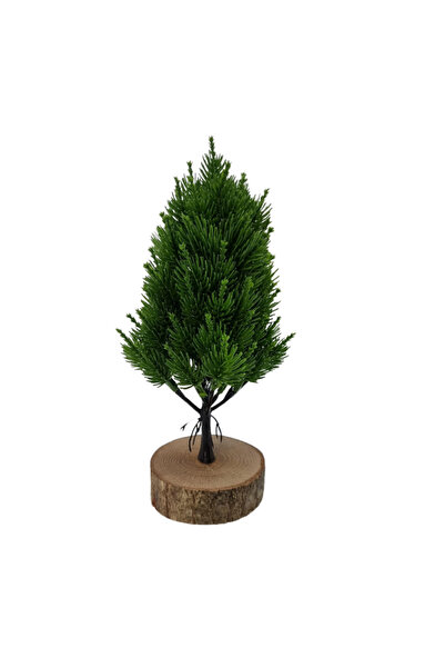 Çiçekmisin Kütük Saksıda Mini Boy Çam Agacı