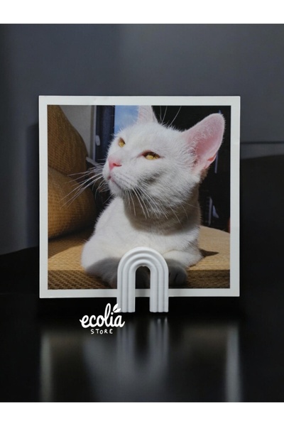 Main Collectibles 5 Photo Stands