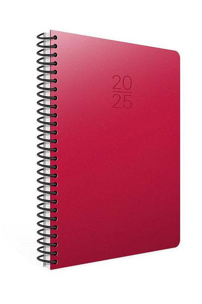 Gıpta 2025 Model Red Daily Agenda with Spiral - 20X28 Cm, 419-Sek