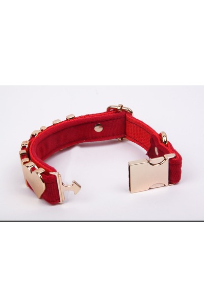 Pawsim İsimli Köpek Tasması, İsme Özel Köpek Tasması, Kişiselleştirilebilir Köpek Tasması, Boyun Tasması