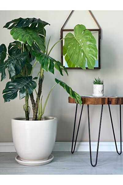 odka 20litre Klasik Saksı Tabaklı 30cmx30cm Ekru