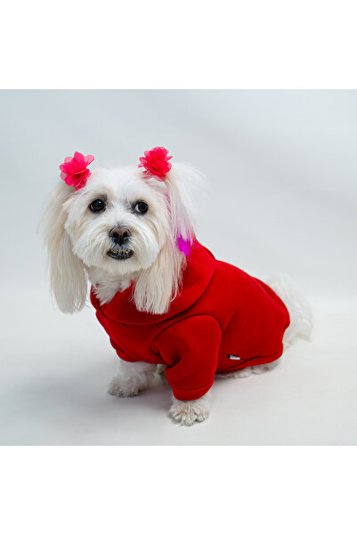 Buddy Store Kedi & Köpek Kıyafetleri Sweatshirt Hoodie - Baskısız Kırmızı