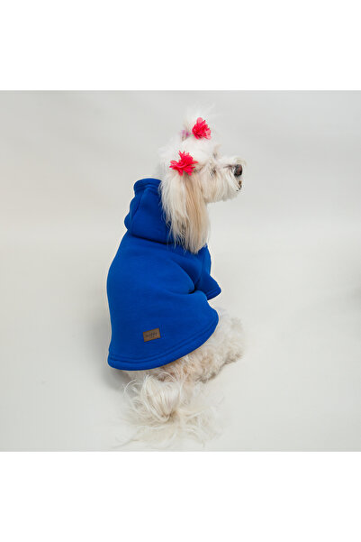 Buddy Store Kedi & Köpek Kıyafeti Elbiseleri Kıyafetleri Sweat - Baskısız Saks Mavisi Kapüşonlu Sweat
