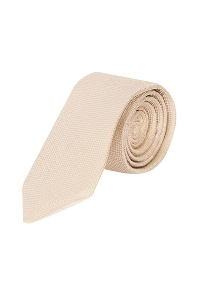 echol Ech.Tie