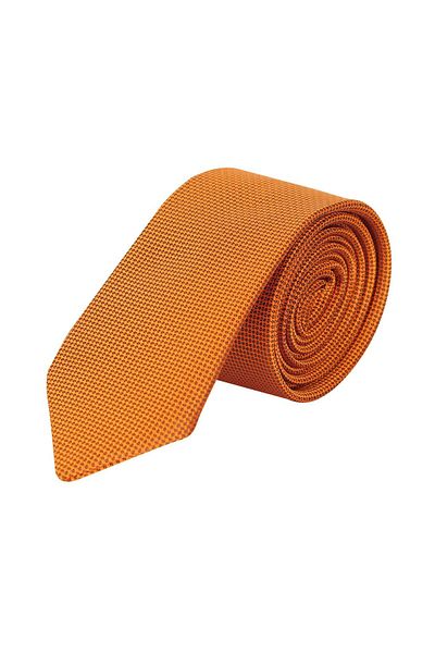echol Ech.Tie