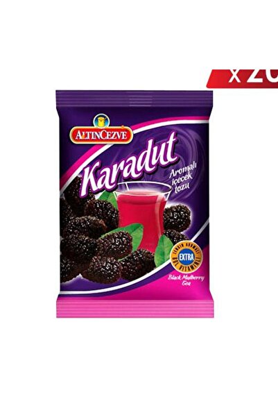 Altıncezve Karadut Aromalı Içecek Tozu 250 gr - 20li Paket