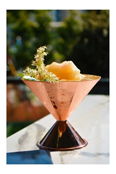 Bakır Concept Bakır Dondurmalık Dilimli Model