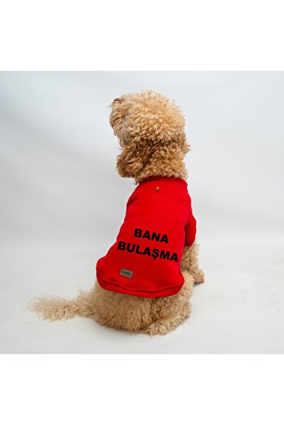 Buddy Store Kedi Ve Köpek Kıyafeti - Bana Bulaşma Baskılı Kırmızı Tasma Delik...