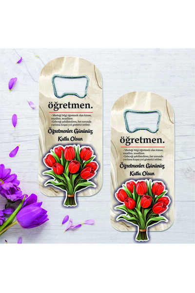 Ege ajans 10 adet kabartma figürlü öğretmenler günü açacak magnet