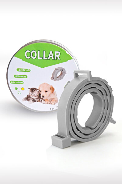 GOBYPET Kedi Anti Pire Kene Önleyici Tasma- 38 Cm Pire Önleyici Tasma, Kene Önleyici Tasma