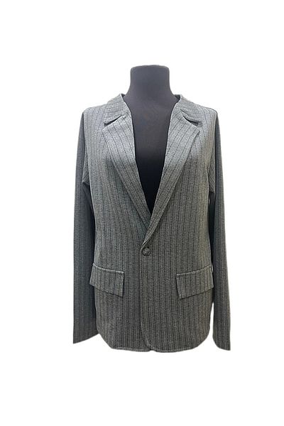 DNC Silver Striped Cashmere Blazer - Limited Edition Jacket