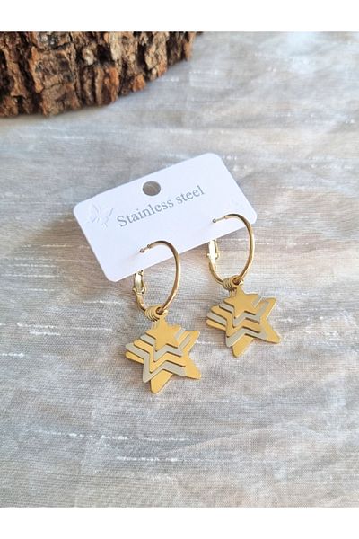 Brassito Women's Steel Earrings Dangle Star Model Two Colors 316L Sterling