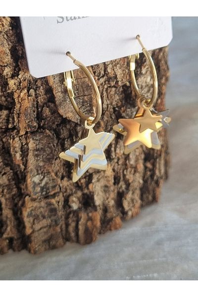Brassito Women's Steel Earrings Dangle Star Model Two Colors 316L Sterling