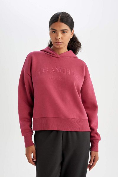 DeFacto Los Angeles Lakers Fit Nba Hooded Thick Sweatshirt - C8248Ax24Au