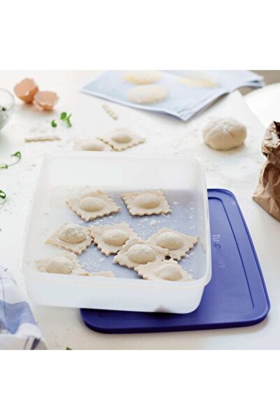 Tupperware Alaska 2.25 Lt Deep Freezer Greenhouse Storage Container