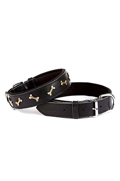 Doggie Petshopundan - جلد مريح، طوق كلب مزين بالعظام، أسود صغير 4x47-55 سم