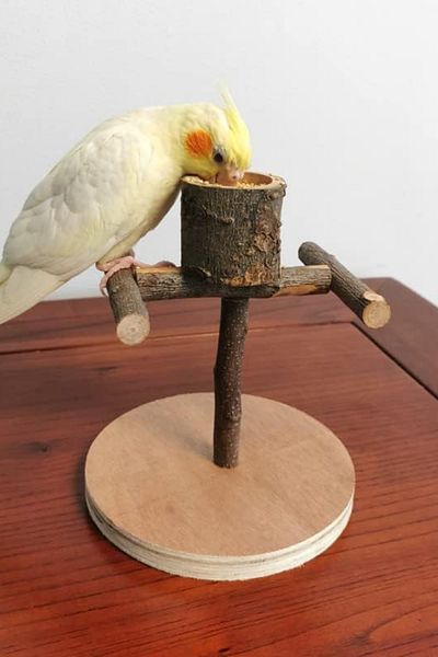 Alyones Natural Wood Play Stand - with Feeding Cover, for Budgie and Parrot