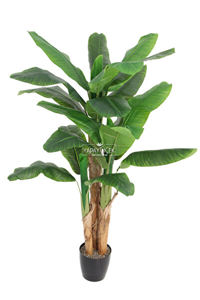 Yapay Çiçek Deposu Yapay Lüx Muz Ağacı 3 Gövdeli Saksılı 180 cm