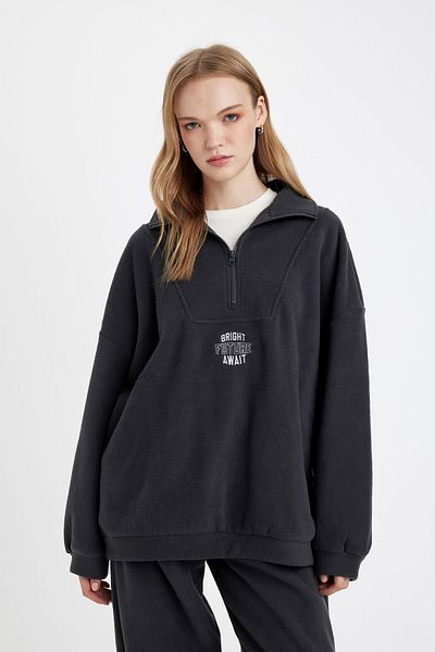DeFacto Übergroßes, geripptes, besticktes Fleece-Sweatshirt mit Reißverschluss und Stehkragen