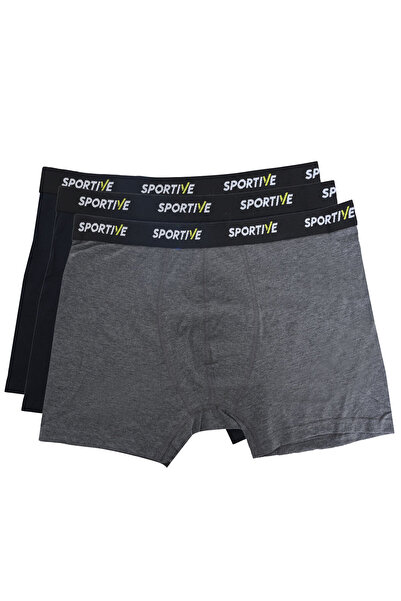 Sportive Spt Erkek Gri Günlük Stil 3'lü Boxer 24KBXR01-RNK