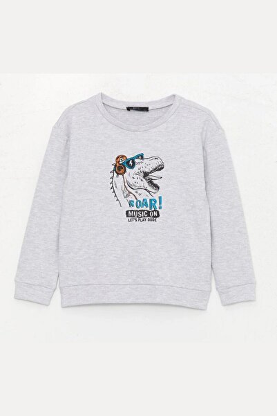 Chandraswear Boy's Sweatshirt Gray - Martin