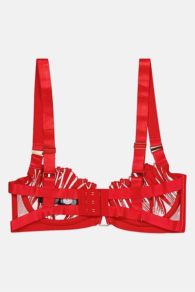 Bluebella Women Textured Underwired Bra, Red