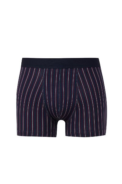 DeFacto Gestreifter 3-teiliger Herren-Boxer E0028ax24wn