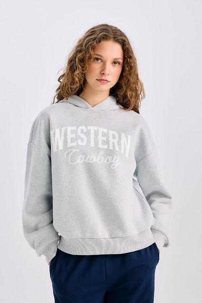 DeFacto Übergröße Fit Wide Fit Kapuze gedruckt dickes Sweatshirt Stoff Sweatshirt E3658AXNS