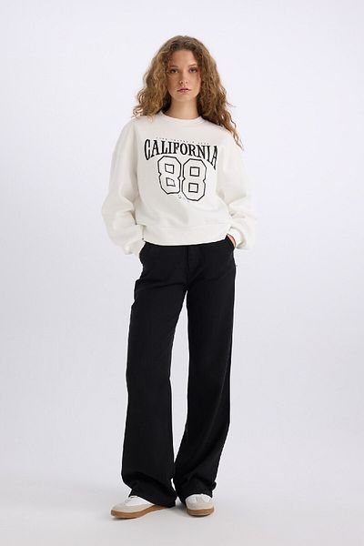 DeFacto Loose Fit Crew Neck Printed Thick Fabric Sweatshirt E3388Axns