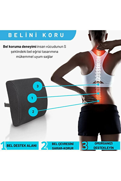 AutoFresh Orthopedic Car Auto Waist Support Cushion Pillow Back Cushion Office Chair Support