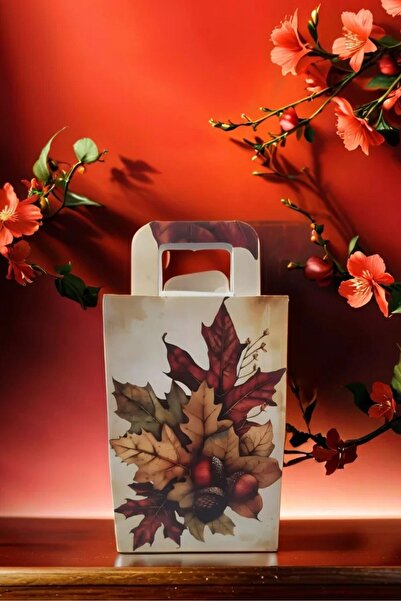 Emtory Home 5 Adet Bohem Kozalak Karton Çanta - Hediye Paketi - Hediye Kutusu- Yılbaşı Hediye Paketi 10x15 Cm