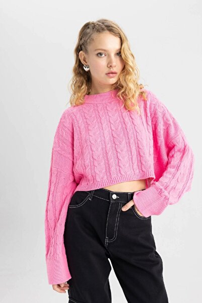 DeFacto Coool Crew Neck Knitwear Sweater - Regular Fit T4518Az23Wn