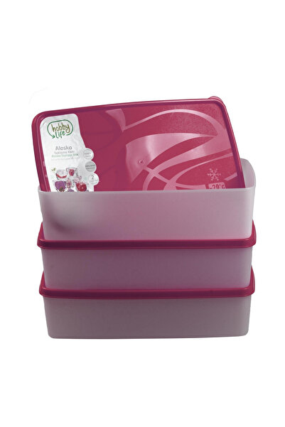 Tuppee Alaska Nofrost Storage Container 2 Liters 3 Pieces (-20 Degree Resistant)