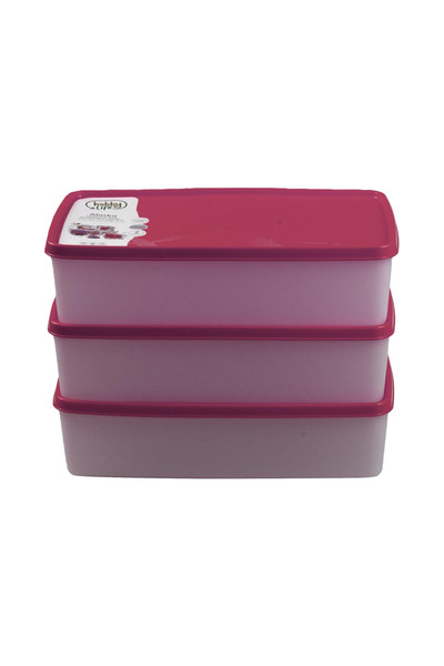 Tuppee Alaska Nofrost Storage Container 2 Liters 3 Pieces (-20 Degree Resistant)