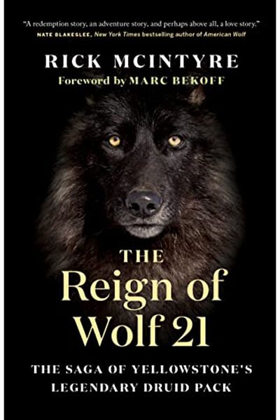 Greystone Books,Canada The Reign of Wolf 21: The Saga of Yellowstone's Legendary Druid Pack