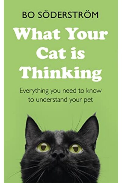 John Murray One ما يفكر فيه قطك: كل ما تحتاج إلى معرفته لفهم حيوانك الأليف