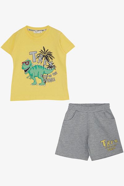 Breeze 1.5-5 Years Old Boy Shorts Set - Dinosaur Printed, Yellow