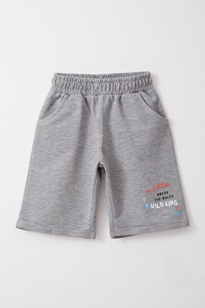 Breeze 1-4 Years Boy Green Shorts Set - King Lion Printed