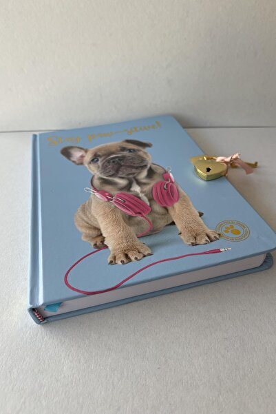 ÇilekKurdu Kilitli Hatıra Günlük Defter Studıo Pets Kilitli Sert Kapak 120 Yaprak