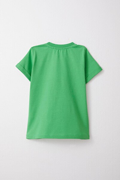 Breeze 1-4 Years Boy Green Shorts Set - King Lion Printed