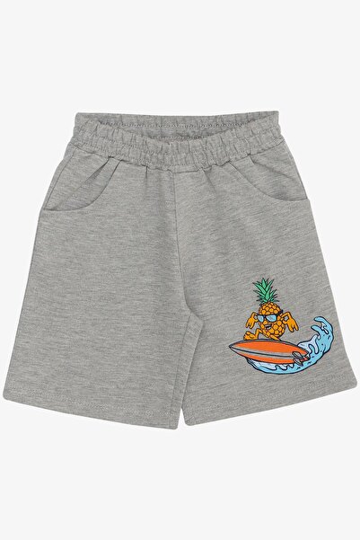 Breeze 3-7 Years Old Boy Shorts Set - Summer Themed, Pineapple Printed, Light Blue