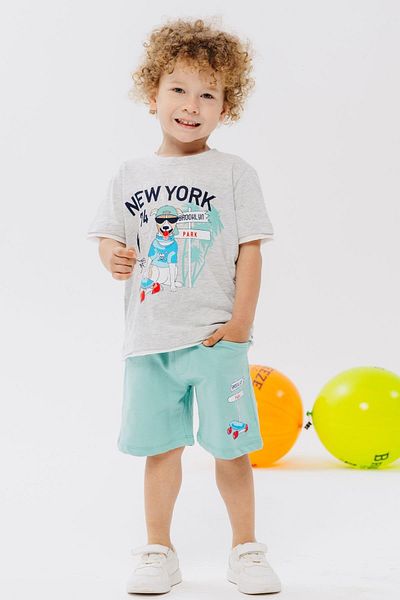 Breeze 2-6 Years Old Boy Shorts Set - Cute, Free Skater Puppy Printed, Light Gray Melange