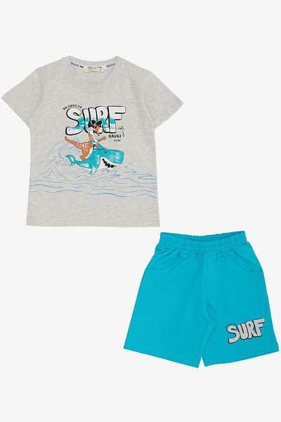 Breeze Boys' Shortsweight Holiday Themed Cheerful Surfer Animals Printed 2-6 Years Old, Light Gray Mel