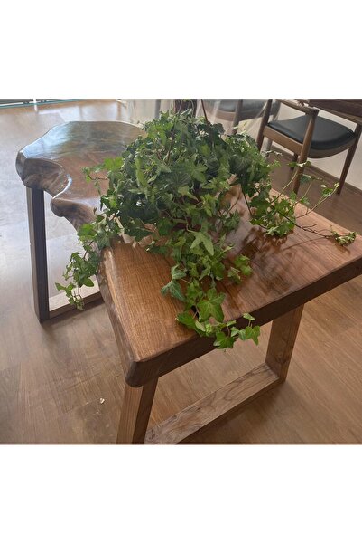 KÜTÜK MOBİLYA DİZAYN 80x30 CEVİZ AĞACI DOĞAL AHŞAP KÜTÜK DRESUAR AHŞAP AYAKLI