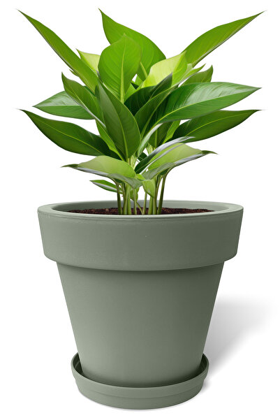 ToXA 10 Litre Bej Fulya Saksı Tabaklı Drenajlı Izgaralı Mat Plastik Çiçek Saksısı