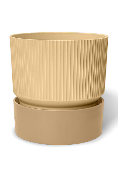 ToXA 2 Litre Krem Iksora Saksı Dekoratif Tabaklı Çiçek Kaktüs Saksısı Mat Plastik Saksı